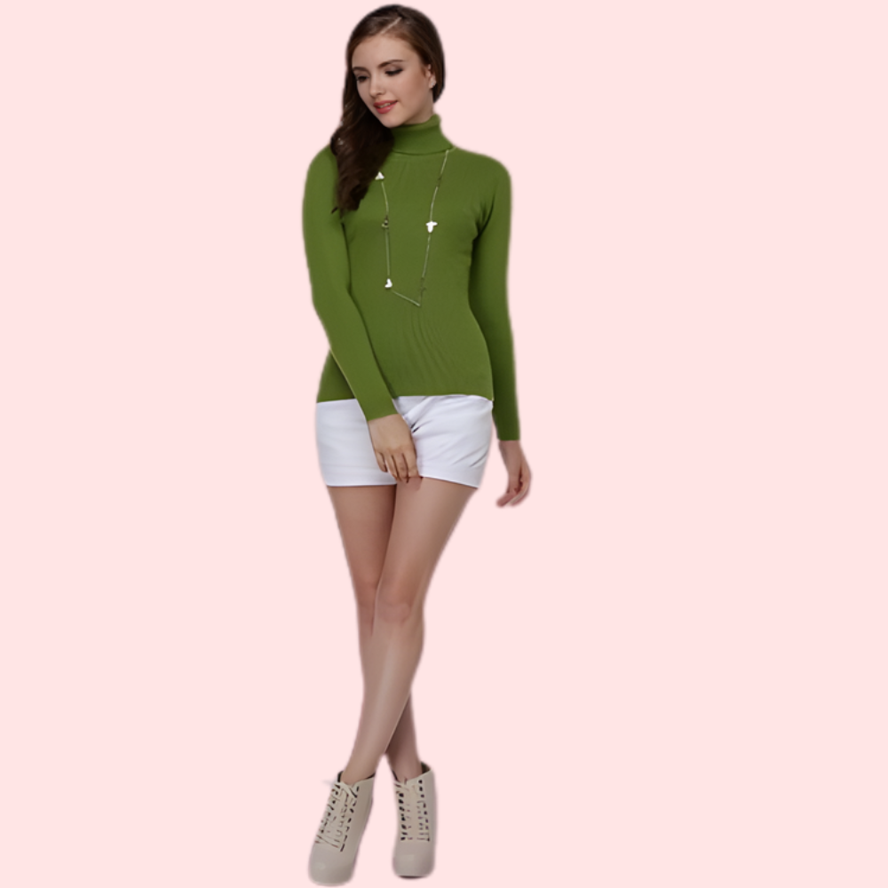 Women’s Slim Fit Soft Turtle Neck Sweater